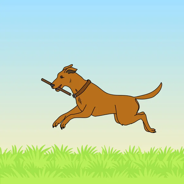 Cão na grama brincando com um pau . — Vetor de Stock