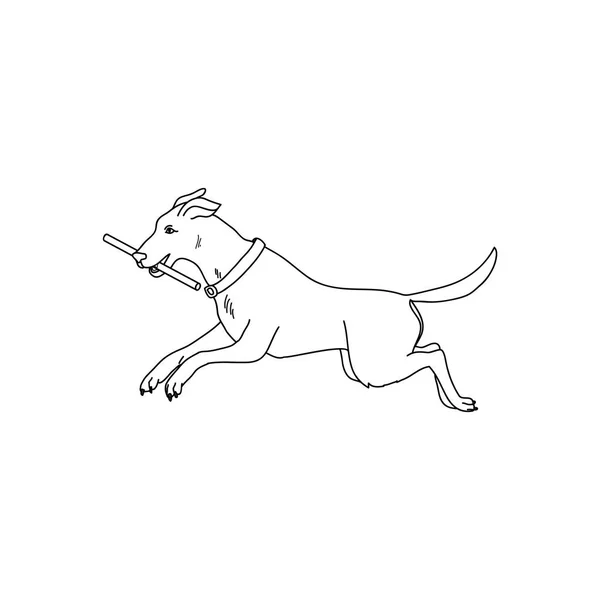 Le chien joue avec un bâton . — Image vectorielle