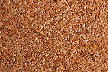 Closeup detay fotoğraf yukarıdan ateş keten (Linum usitatissimum) tohum yığın.