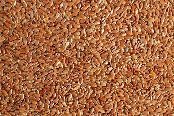 Closeup Detail Photo Flax Linum Usitatissimum Seeds Heap Shot — Stock Photo, Image