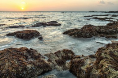Düşük gelgit sırasında plaj kayalar günbatımı ışık denizden su yüzüne yosun ile. Koh Lanta, Thailand.