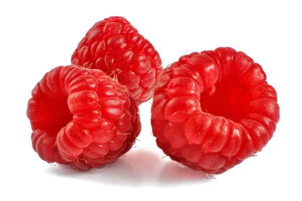 Three Raspberries Isolated White Background — Stock Photo, Image