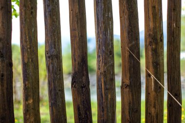 Close up photo - old wooden fence posts poles, with blurred spring country and river in background. clipart
