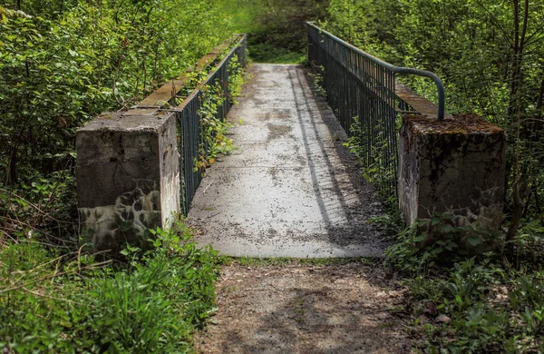 Küçük eski beton köprü, paslı, kaplı kalın bitki örtüsü ile yeşil orman çit.