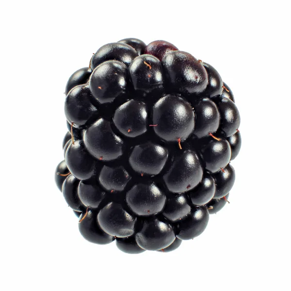 Blackberry Isolated White Background — Stock Photo, Image