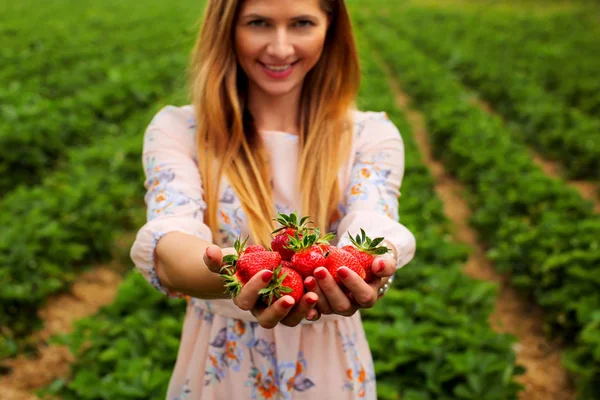 Woman Spring Dress Holding Hands Full Freshly Picked Strawberries Strawberry — Stock Photo, Image