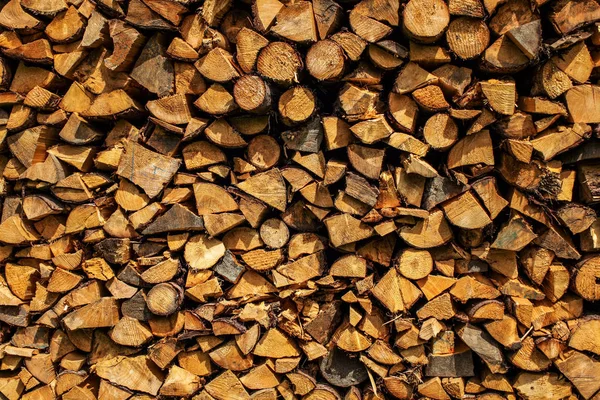 Sun Shining Stack Firewood — Stock Photo, Image