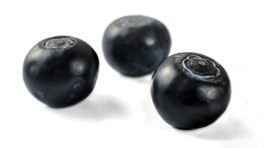 Üç neredeyse siyah beyaz arka plan üzerinde izole bilberries (Vaccinium myrtillus).
