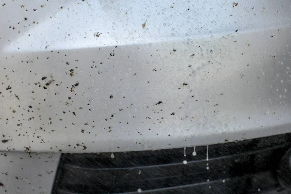 Insect remover being sprayed on car front, covered with bugs and flies.