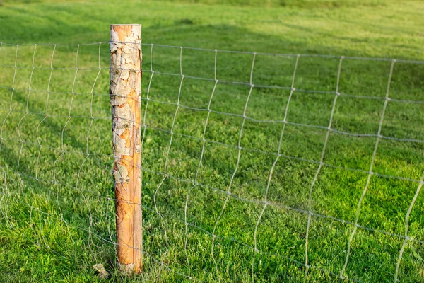 Wooden Pole Wire Fence Green Meadow Background Farm Railing — Stock Photo, Image