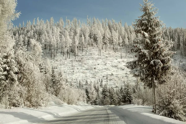 Morgen Auf Der Winterlichen Waldstraße Bäume Mit Weißem Gefrorenem Schnee — Stockfoto