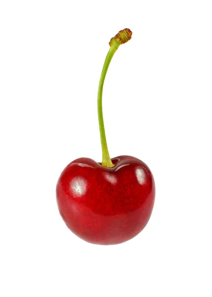 Single Red Cherry Prunus Avium Fruit Isolated White Background — Stock Photo, Image