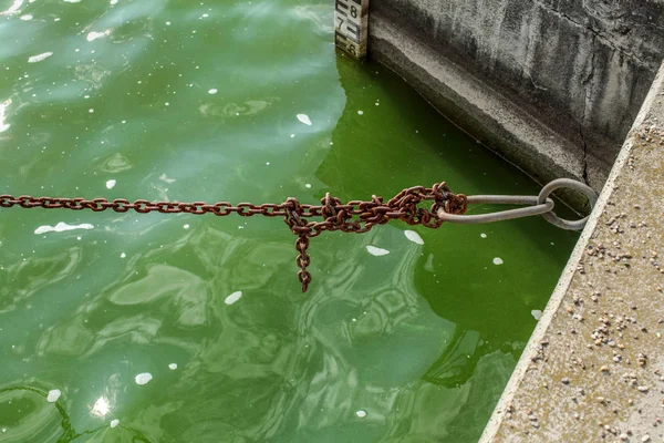 Old rusty boat chain, over green water at the dock, with sea level indicator in background.