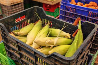 Mısır Plastik durum kutularında, arka planda daha fazla sebze gıda pazarında görüntülenen soyulmamış, yaprakları.