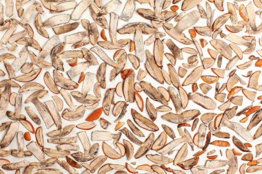 Beyaz kağıt, fotoğraf yukarıda üzerinde kurutma orman - turuncu Kupası scaber SAP - ince kesilmiş dilimleri, mantar