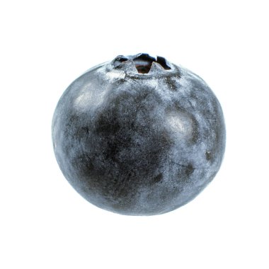 Beyaz arka plan üzerinde izole tek bilberry meyve