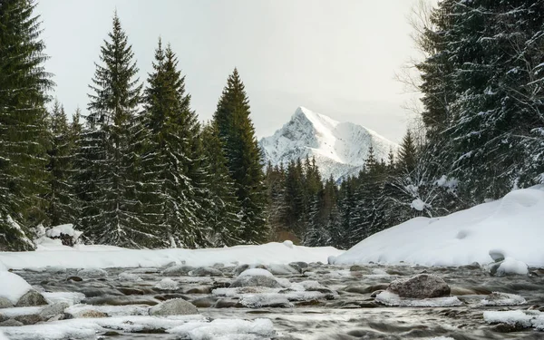 Moring scene - winter forest river, stones covered with ice, coniferous trees on both sides, mount Krivan Slovak symbol in distance — Stock Photo, Image