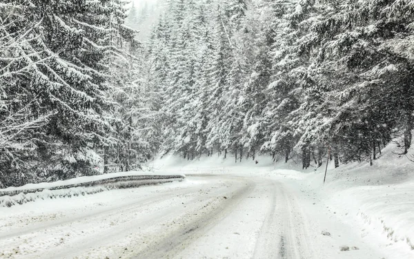 Forest road covered with snow during blizzard snowstorm, trees on both sides. Dangerous driving conditions in winter — Stock Photo, Image