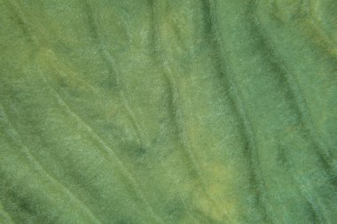 Sığ okyanus suyunda deniz alt-kum 