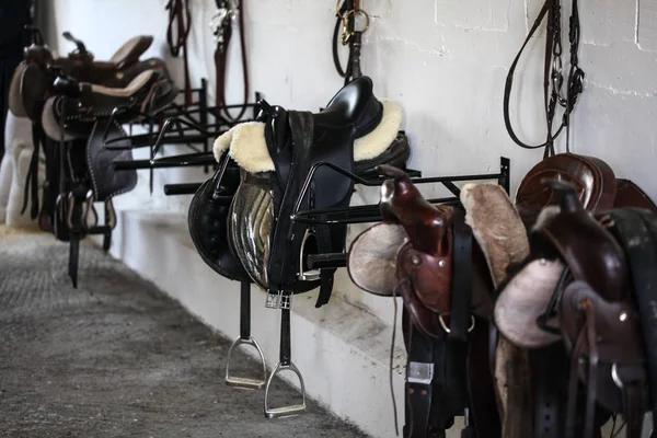 Leather horse saddles and equipment resting on hangers in tack r — Stock Photo, Image