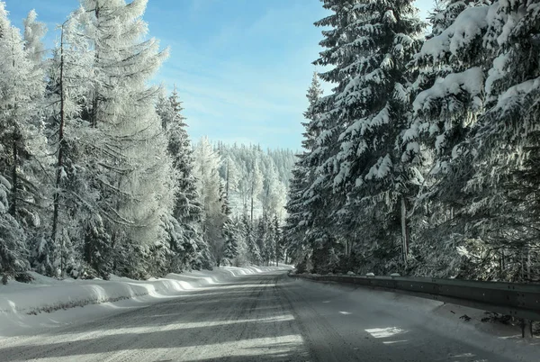 Vista desde el asiento del conductor, conduciendo a través de carretera forestal de invierno, sno — Foto de Stock