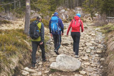 Orman yolu, kayalar ve ağaçlar etrafında yürüyüş parlak spor giysiler üç yürüyüşçüler. Arkadan görüntüle