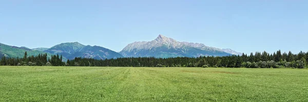 Amplo panorama do prado verde com pequena floresta e monte Krivan pico símbolo eslovaco em distância, céu claro acima — Fotografia de Stock