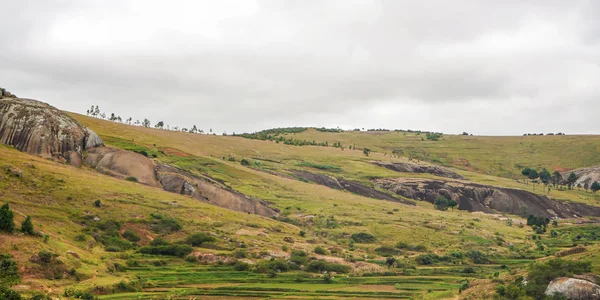 Bulutlu günde Farariana yakınlarındaki bölgede tipik Madagaskar manzara. Oldukça düz çim arazi sadece birkaç ağaç, bazı kayalar ve tepeler, ön planda pirinç tarlaları ile — Stok fotoğraf