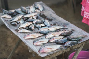 Balıklar Ranohira, Madagaskar sokak pazarında ekranda