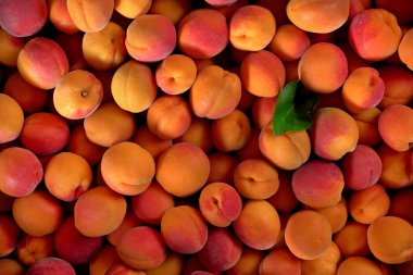 Yukarıdan aşağıya görünüm, kayısı yığını ve bir yeşil yaprak