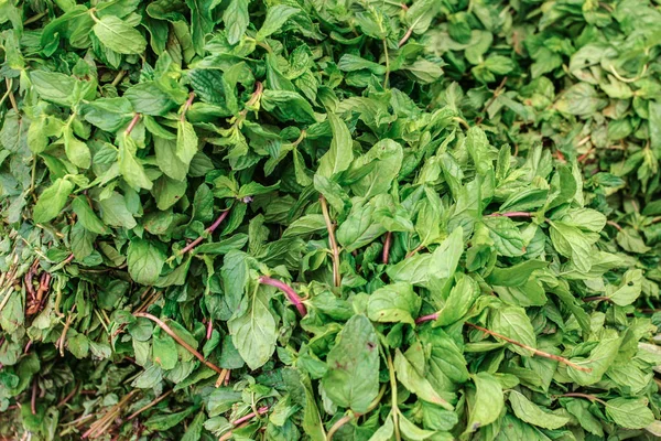 Purple asian basil leaves displayed on food market. Kyrenia, Cyp — Stock Photo, Image