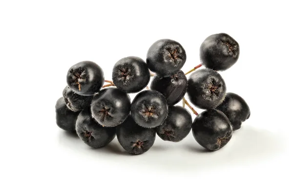 Dettaglio su aronia (Chokeberry) frutti con fusto, isolati su merluzzo — Foto Stock