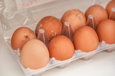 Küf uzun süre ıslak buzdolabında saklanan çürük yumurta üzerinde büyüyen. Küflü gıda kötü gitti