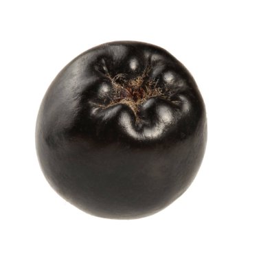 Tek Aronia üzümü (boğaz üzümü) beyaz arkaplanda izole.