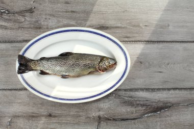 Masa üstü manzarası, çiğ alabalık, mavi renkli beyaz oval tabakta.
