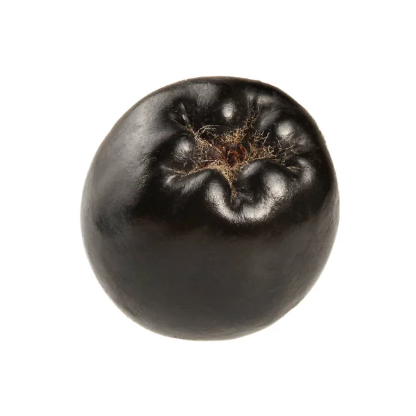 Φωτογραφία από κοντινό πλάνο - Μονός καρπός αρόνιας (chokeberry) απομονωμένος σε whi — Φωτογραφία Αρχείου
