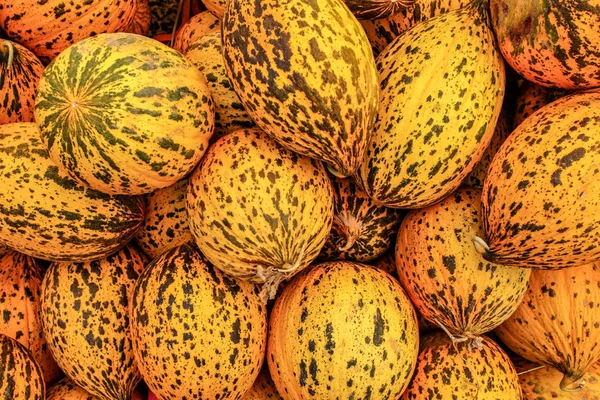 Melones amarillos turcos manchados (Kavun) exhibidos en el mercado de alimentos i — Foto de Stock