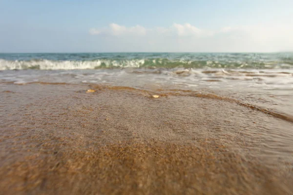 Mokry piasek na plaży, morze w oddali, zdjęcie z niskiego kąta na ziemi — Zdjęcie stockowe