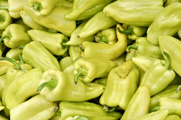 Heap of pointed sweet white bell peppers displayed on food market, closeup detail — Stock Photo, Image