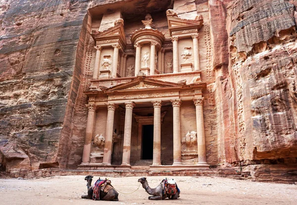 İki deve, turistler için eyer, kayıp şehir Petra 'nın başlıca eğlencesi olan Hazine Tapınağı' nın önünde oturuyorlar.