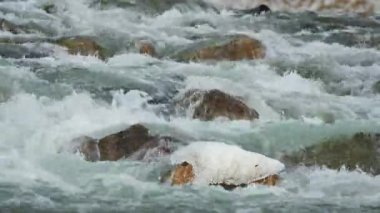 Kış nehri kar ve buzla kaplı taşların üzerinde akıyor.