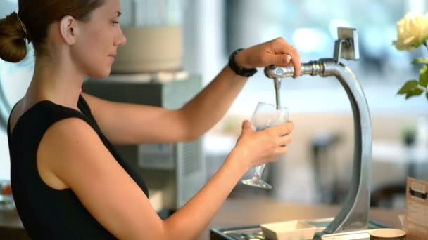 Bartender Pouring Draft Beer — Stock Video