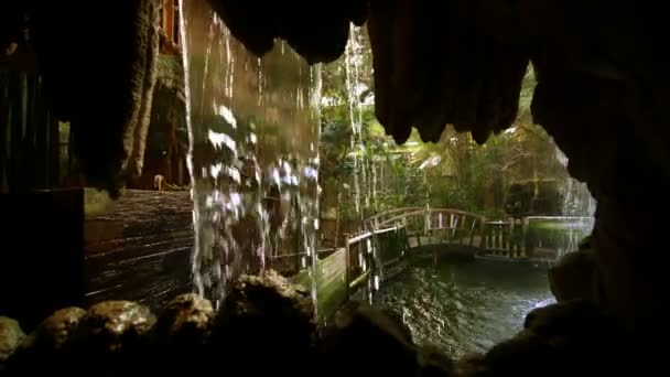 Vacker Regnskog Och Grottan Dekoration Zoo — Stockvideo