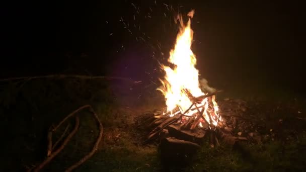 Campfire Night Mountains — Stock Video