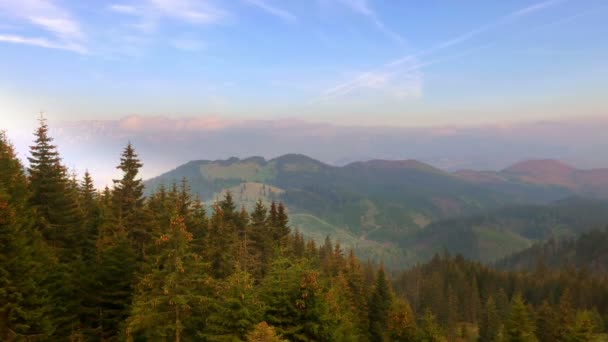 Schöne Aussicht Auf Den Bergwald Bei Sonnenuntergang Sommer — Stockvideo