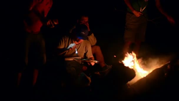 Group Boys Spending Time Campfire Making Barbecue — Stock Video