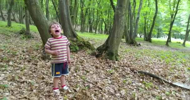 Cute Little Boy Crying Forest Summer Day — Αρχείο Βίντεο