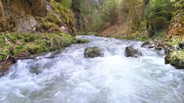 Flygfoto Över Ett Vatten Gorge Summertime — Stockvideo