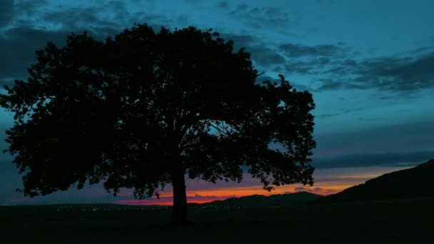 Nightfall Lonely Tree Dobrogea Romanya Timelapse — Stok video