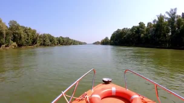 Υψηλής Ταχύτητας Σκάφος Πλοήγηση Στο Σκέλος Sfantu Γκεόργκε Του Ποταμού — Αρχείο Βίντεο